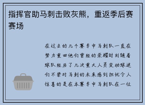 指挥官助马刺击败灰熊，重返季后赛赛场