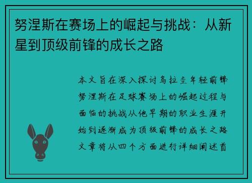 努涅斯在赛场上的崛起与挑战：从新星到顶级前锋的成长之路