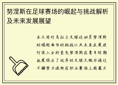 努涅斯在足球赛场的崛起与挑战解析及未来发展展望