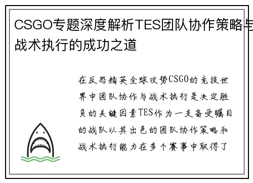 CSGO专题深度解析TES团队协作策略与战术执行的成功之道