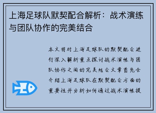 上海足球队默契配合解析：战术演练与团队协作的完美结合
