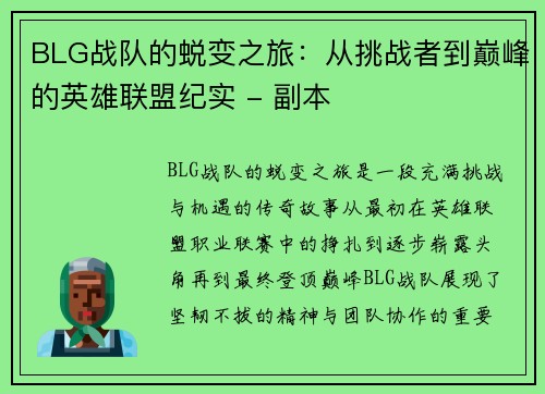 BLG战队的蜕变之旅：从挑战者到巅峰的英雄联盟纪实 - 副本
