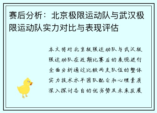 赛后分析：北京极限运动队与武汉极限运动队实力对比与表现评估