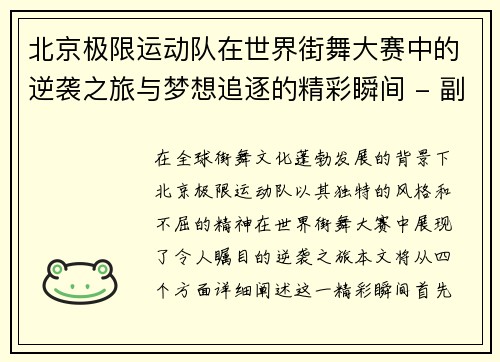 北京极限运动队在世界街舞大赛中的逆袭之旅与梦想追逐的精彩瞬间 - 副本